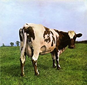 vaca en el campo